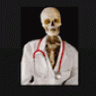 Dr Bones